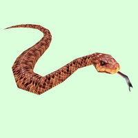 Brown Snake