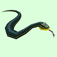 Dark Green & Yellow Snake