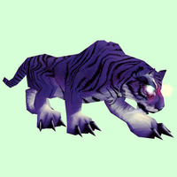 Glowing Purple Mystic Cat