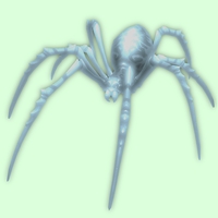 Spectral Spider