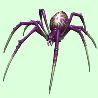 Purple & Yellow-Green Spider