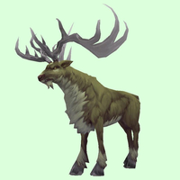 Green-Brown Stag