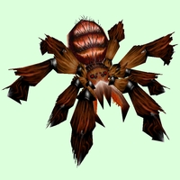 Classic Red Tarantula