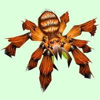 Classic Orange Tarantula