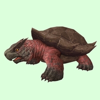 Red & Brown Smooth Dragon Turtle