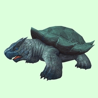 Grey & Teal Smooth Dragon Turtle