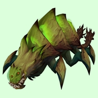 Olive Void Creeper