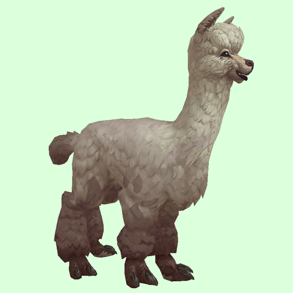 White Alpaca