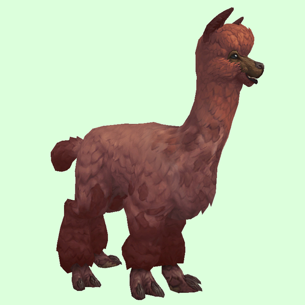 Red Alpaca