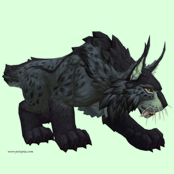 Black Amani Lynx
