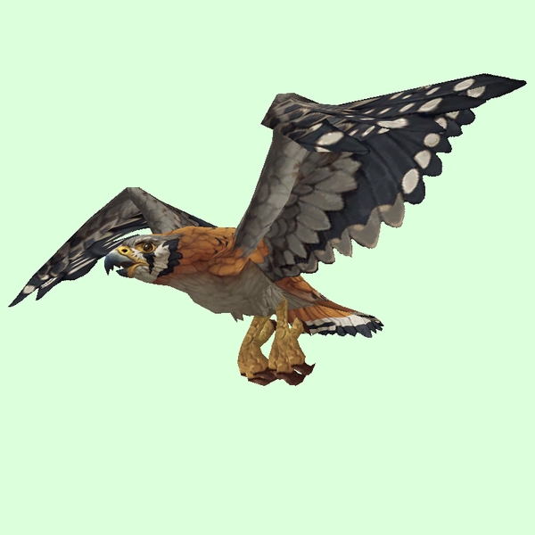 White-Spotted Tawny Falcon