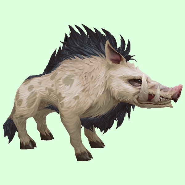 Pale Boar - Pet Look Petopia.