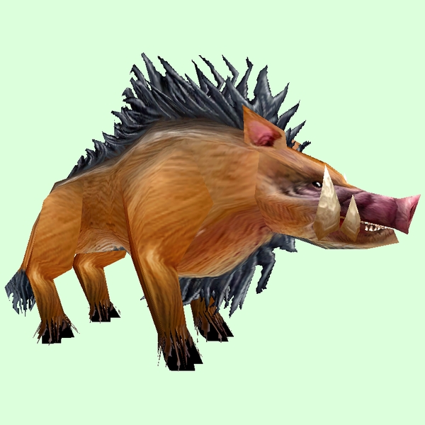 Classic Brown Boar