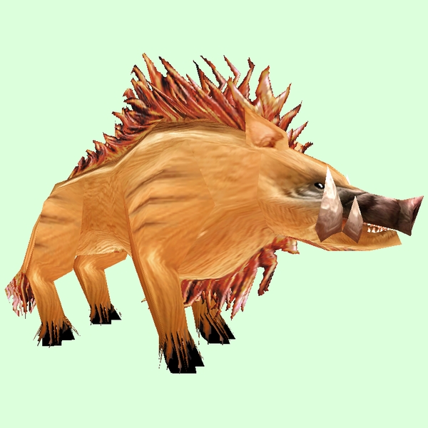 Orange Boar