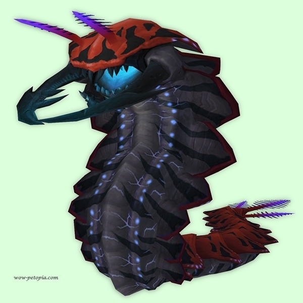 Red Tidal Worm