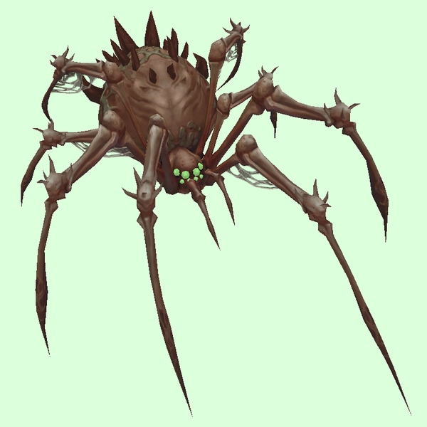 Brown Bone Spider