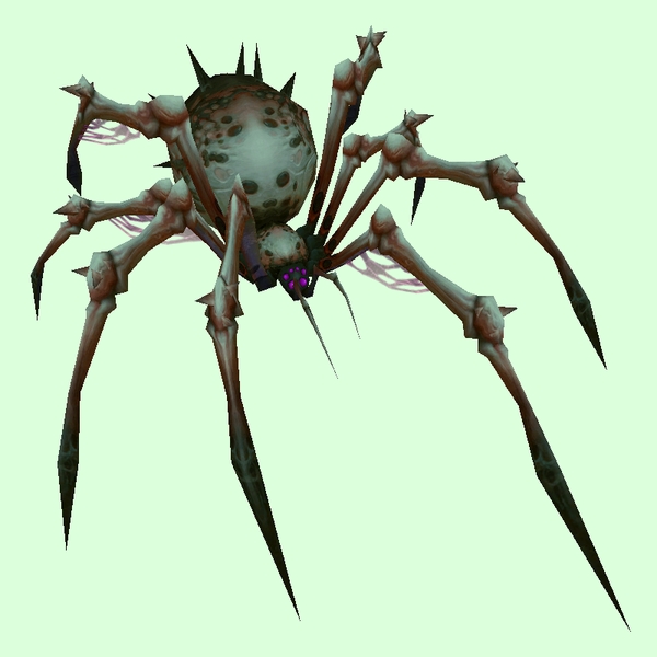 Classic Green-Grey Bone Spider