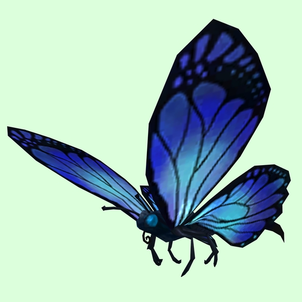 Blue Butterfly