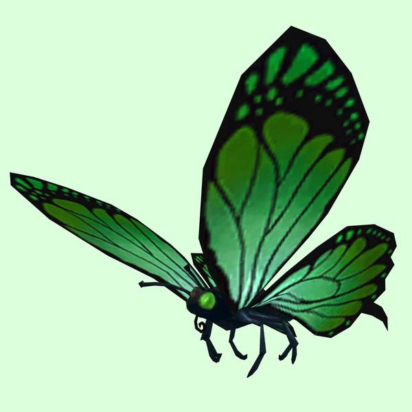 Green Butterfly