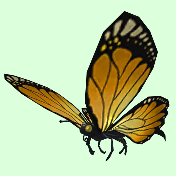 Orange Butterfly