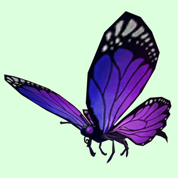 Purple Butterfly