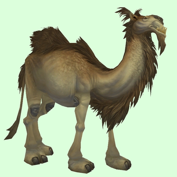 Tan Camel