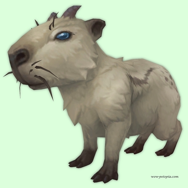 Pale Capybara
