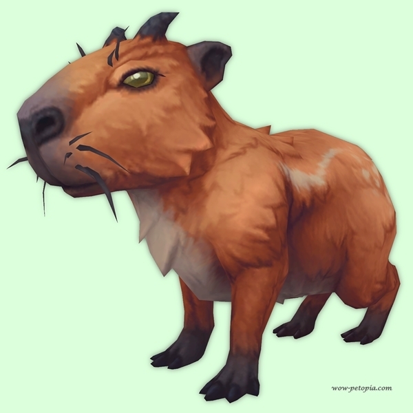 Red Capybara