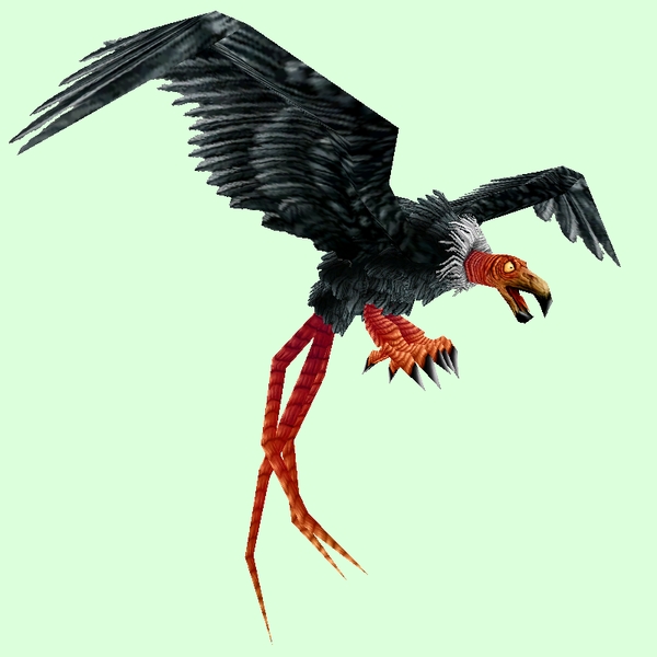 Classic Black Vulture