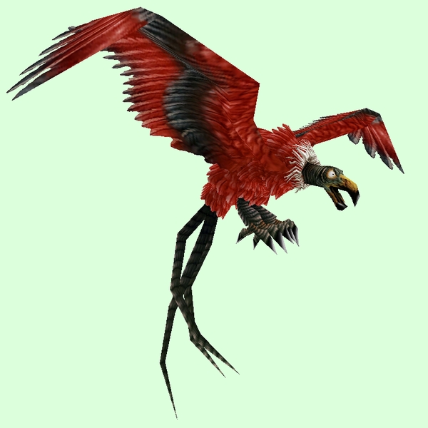 Classic Red Vulture
