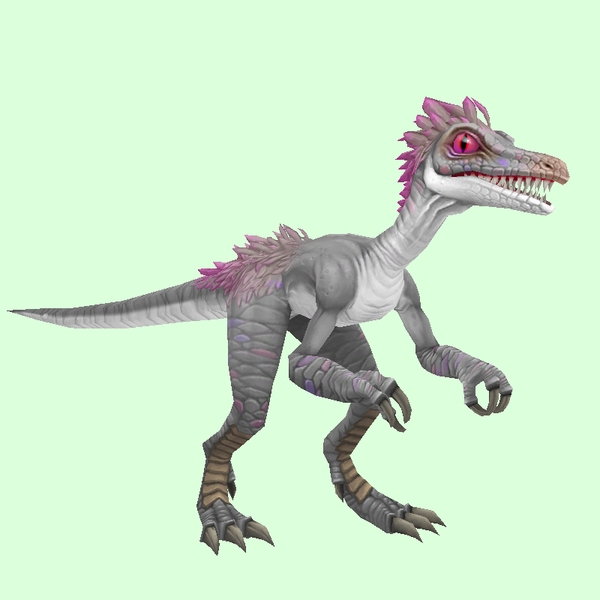 Silver Saurid