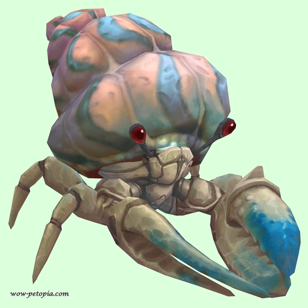 Blue & White Hermit Crab w/ Pale Orange & Blue Shell