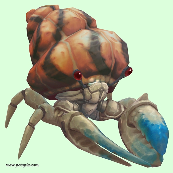 Blue & White Hermit Crab w/ Orange & Black Shell