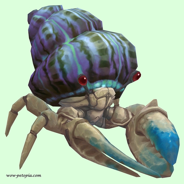 Blue & White Hermit Crab w/ Purple & Green Shell