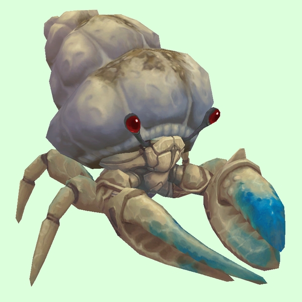 Blue & White Hermit Crab w/ Sandy Shell