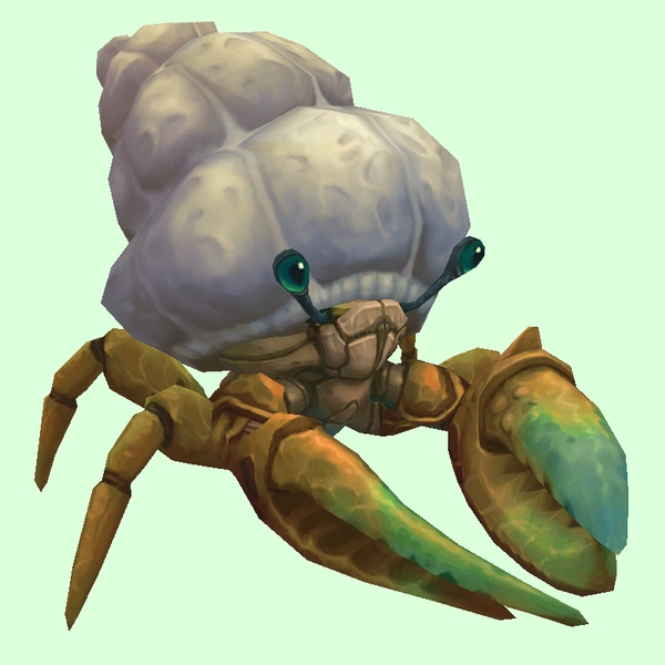 Bronze Hermit Crab w/ Plain Shell