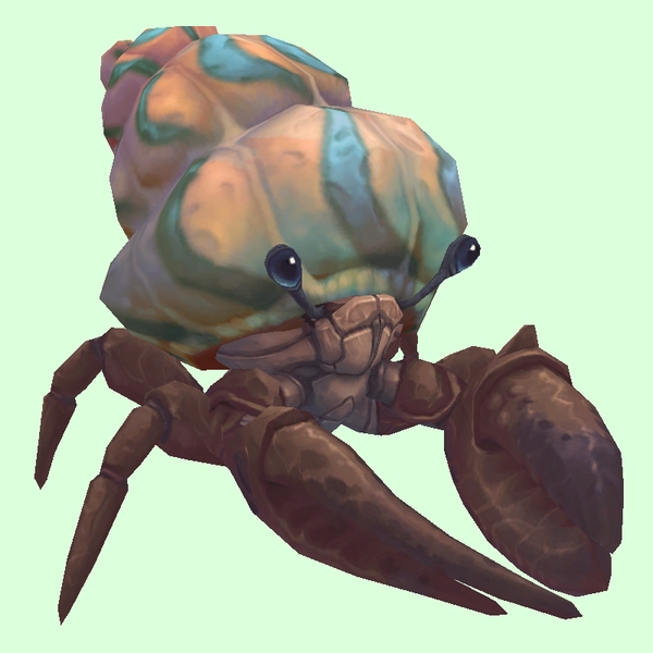 Brown Hermit Crab w/ Pale Orange & Blue Shell