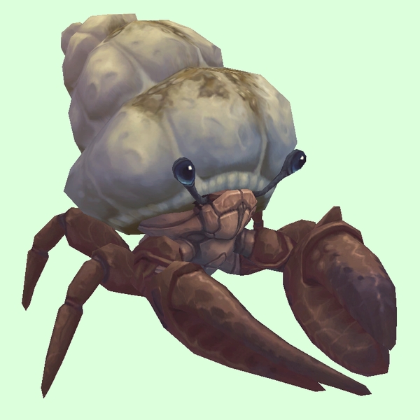 Brown Hermit Crab w/ Sandy Shell