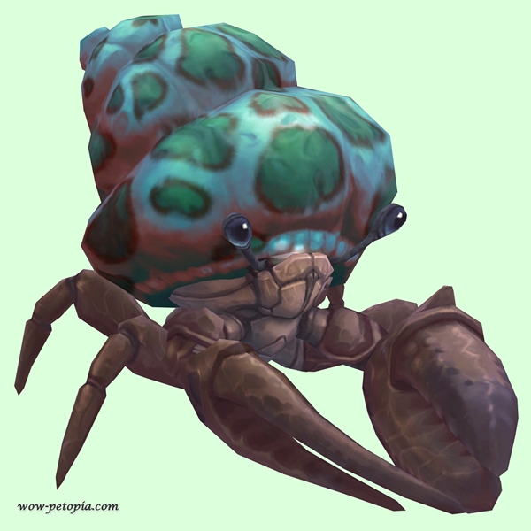 Brown Hermit Crab w/ Green-Spotted Teal Shell