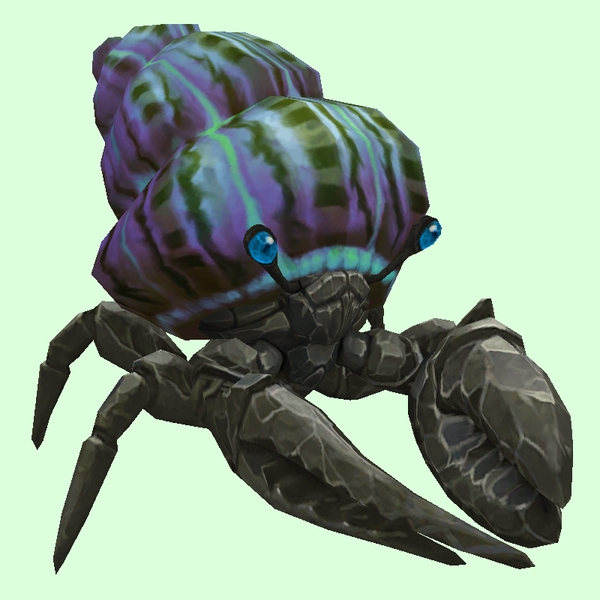 Onyx & Sapphire Hermit Crab w/ Purple & Green Shell