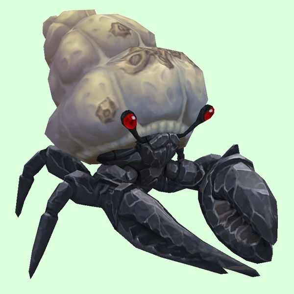 Onyx & Ruby Hermit Crab w/ Barnacled Shell