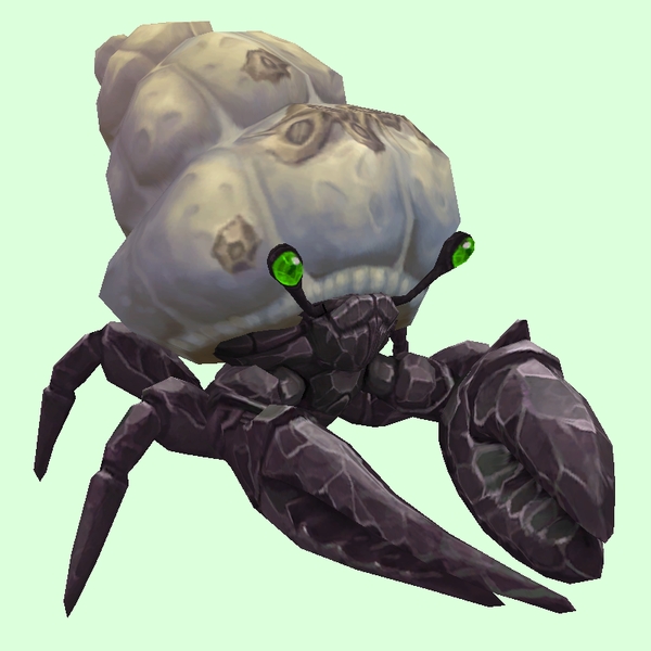 Onyx & Emerald Hermit Crab w/ Barnacled Shell