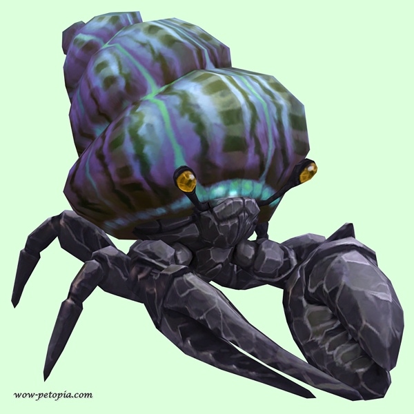 Onyx & Topaz Hermit Crab w/ Purple & Green Shell