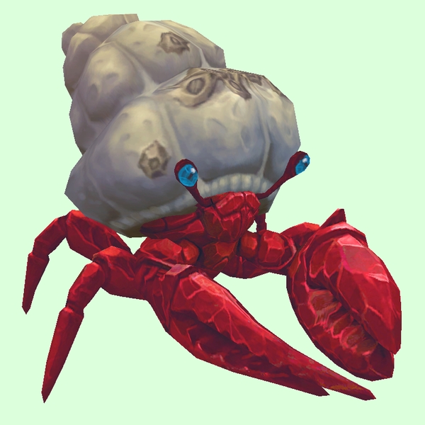 Ruby & Sapphire Hermit Crab w/ Barnacled Shell
