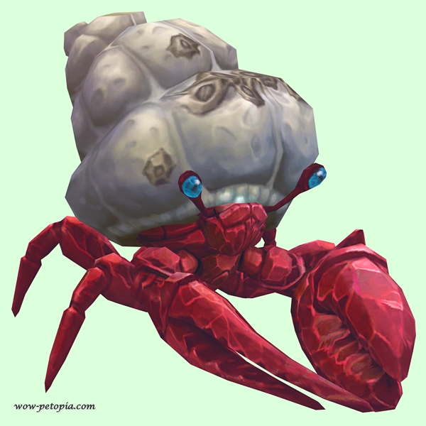 Ruby & Sapphire Hermit Crab w/ Barnacled Shell