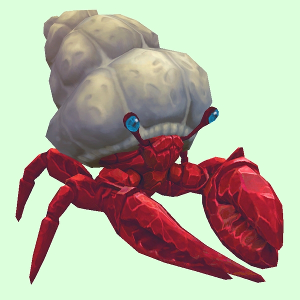 Ruby & Sapphire Hermit Crab