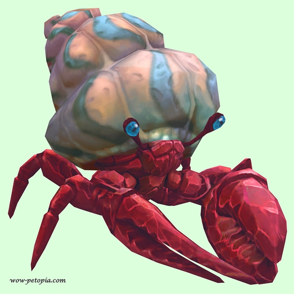 Ruby & Sapphire Hermit Crab w/ Pale Orange & Blue Shell