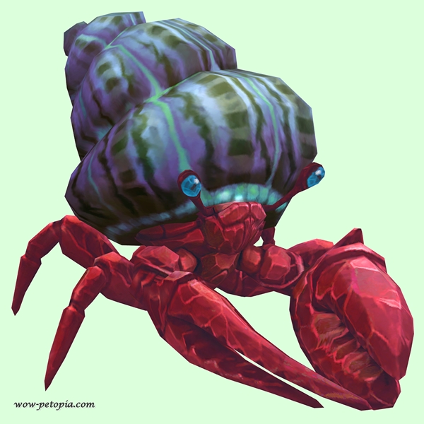 Ruby & Sapphire Hermit Crab w/ Purple & Green Shell