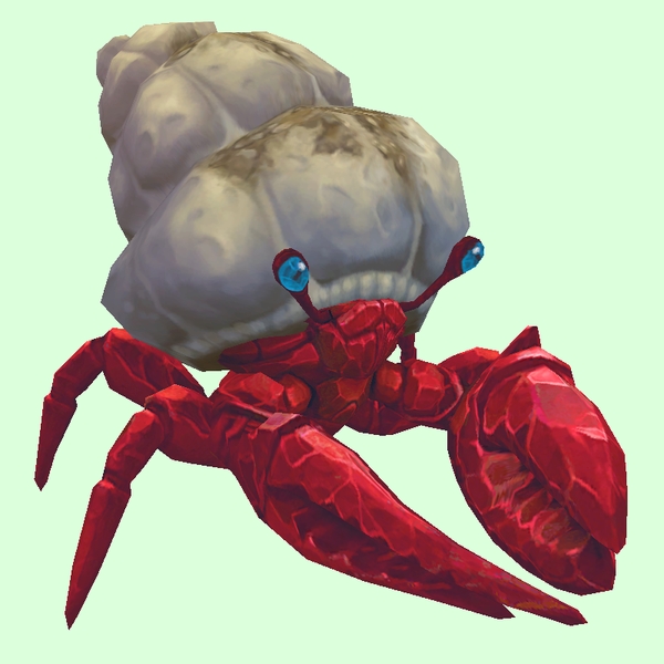 Ruby & Sapphire Hermit Crab w/ Sandy Shell