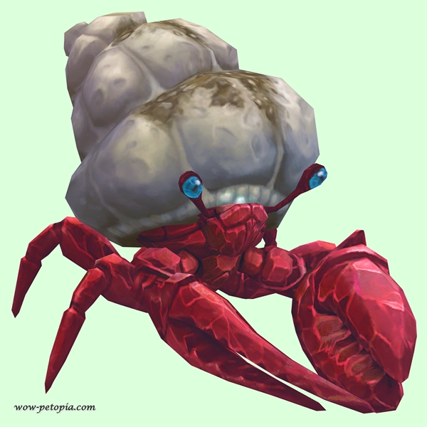 Ruby & Sapphire Hermit Crab w/ Sandy Shell